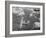 U.S. Air Force Consolidated B-24 Liberators-null-Framed Photo