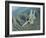 U.S. Air Force F-15E Strike Eagle on a Combat Patrol over Afghanistan-Stocktrek Images-Framed Photographic Print