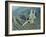 U.S. Air Force F-15E Strike Eagle on a Combat Patrol over Afghanistan-Stocktrek Images-Framed Photographic Print