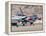 U.S. Air Force Thunderbirds on the Ramp at Nellis Air Force Base, Nevada-Stocktrek Images-Framed Premier Image Canvas