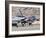 U.S. Air Force Thunderbirds on the Ramp at Nellis Air Force Base, Nevada-Stocktrek Images-Framed Photographic Print