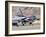 U.S. Air Force Thunderbirds on the Ramp at Nellis Air Force Base, Nevada-Stocktrek Images-Framed Photographic Print