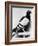 U.S. Army Carrier Pigeon-Philip Gendreau-Framed Photographic Print