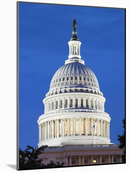 U.S. Capitol dome-Raimund Koch-Mounted Photographic Print