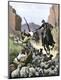 Giclee Print