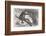 U.S. Civil War Sharpshooter-Winslow Homer-Framed Photographic Print