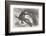 U.S. Civil War Sharpshooter-Winslow Homer-Framed Photographic Print