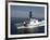 U.S. Coast Guard Cutter Waesche in the Navigates the Gulf of Mexico-Stocktrek Images-Framed Photographic Print