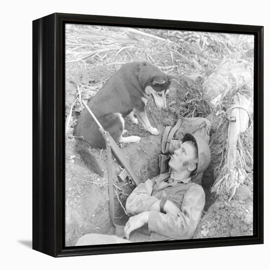 U.S. Marine in a Foxhole with War Scouting Husky Dog During the Landing of Guam, August 1944-W^ Eugene Smith-Framed Premier Image Canvas