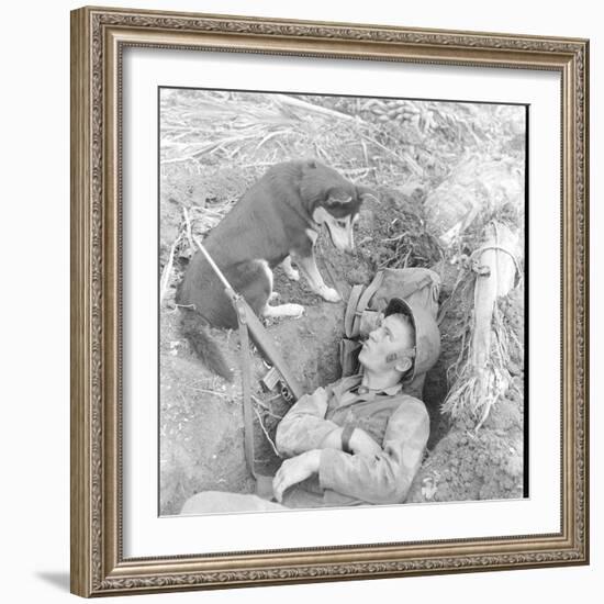 U.S. Marine in a Foxhole with War Scouting Husky Dog During the Landing of Guam, August 1944-W^ Eugene Smith-Framed Photographic Print