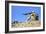 U.S. Marines Provide Security During a Patrol in Afghanistan-null-Framed Photographic Print