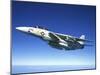 U.S. Navy F-14A Tomcat in Flight-Stocktrek Images-Mounted Photographic Print