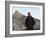 U.S. President Barack Obama Tours the Great Wall in Badaling, China-null-Framed Photographic Print