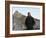 U.S. President Barack Obama Tours the Great Wall in Badaling, China-null-Framed Photographic Print