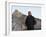 U.S. President Barack Obama Tours the Great Wall in Badaling, China-null-Framed Photographic Print