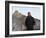 U.S. President Barack Obama Tours the Great Wall in Badaling, China-null-Framed Photographic Print