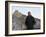 U.S. President Barack Obama Tours the Great Wall in Badaling, China-null-Framed Photographic Print