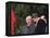 U.S. President Ronald Reagan, Right, Talks with Soviet Leader Mikhail Gorbachev-null-Framed Premier Image Canvas