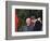 U.S. President Ronald Reagan, Right, Talks with Soviet Leader Mikhail Gorbachev-null-Framed Photographic Print