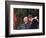 U.S. President Ronald Reagan, Right, Talks with Soviet Leader Mikhail Gorbachev-null-Framed Photographic Print