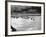 U.S. Reinforcements Wade Through the Surf as They Land at Normandy-null-Framed Photographic Print