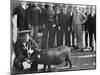 U.S.S. Iowa, Pig Taken from Spanish Cruiser Cristobal Colon-null-Mounted Photo