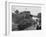 U.S. Sherman Tanks Leave a Landing Ship in Anzio Harbor, May 1944-null-Framed Photo