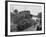 U.S. Sherman Tanks Leave a Landing Ship in Anzio Harbor, May 1944-null-Framed Photo