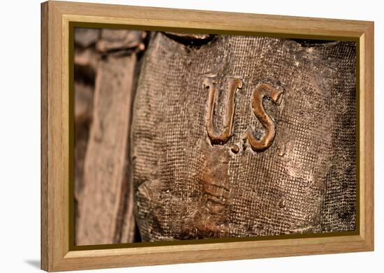 U.S. Statue Closeup-null-Framed Stretched Canvas