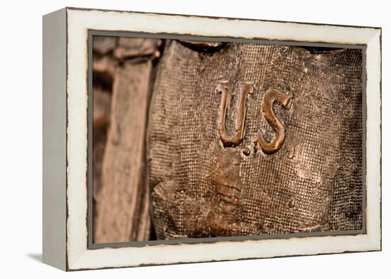 U.S. Statue Closeup-null-Framed Stretched Canvas