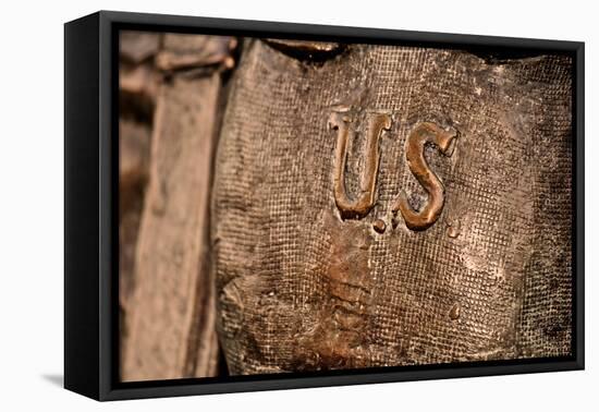 U.S. Statue Closeup-null-Framed Stretched Canvas