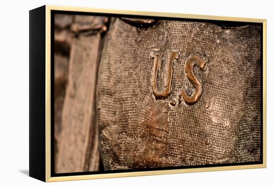 U.S. Statue Closeup-null-Framed Stretched Canvas