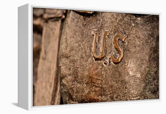 U.S. Statue Closeup-null-Framed Stretched Canvas