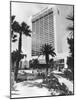 U.S. Vegas Flamingo Hotel-null-Mounted Photographic Print