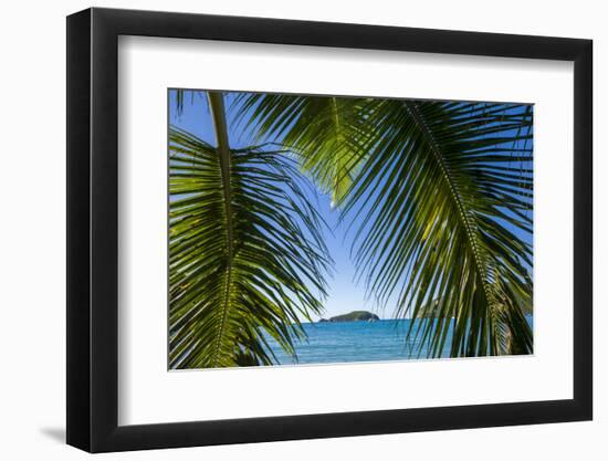 U.S. Virgin Islands, St. John. Trunk Bay and beach-Walter Bibikow-Framed Photographic Print