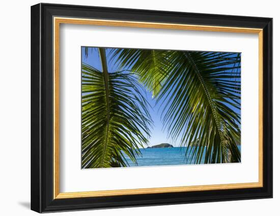 U.S. Virgin Islands, St. John. Trunk Bay and beach-Walter Bibikow-Framed Photographic Print