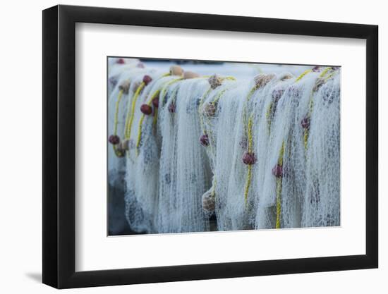 U.S. Virgin Islands, St. Thomas. Charlotte Amalie, Frenchtown, fishing nets-Walter Bibikow-Framed Photographic Print