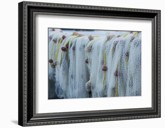 U.S. Virgin Islands, St. Thomas. Charlotte Amalie, Frenchtown, fishing nets-Walter Bibikow-Framed Photographic Print