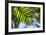 U.S. Virgin Islands, St. Thomas. St. Peter, tropical vegetation-Walter Bibikow-Framed Photographic Print