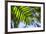 U.S. Virgin Islands, St. Thomas. St. Peter, tropical vegetation-Walter Bibikow-Framed Photographic Print