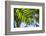 U.S. Virgin Islands, St. Thomas. St. Peter, tropical vegetation-Walter Bibikow-Framed Photographic Print