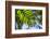 U.S. Virgin Islands, St. Thomas. St. Peter, tropical vegetation-Walter Bibikow-Framed Photographic Print