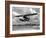 U.S. Water Ski Champion Bruce Parker Being Towed by a Seaplane across Biscayne Bay, 1946-null-Framed Photographic Print