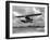 U.S. Water Ski Champion Bruce Parker Being Towed by a Seaplane across Biscayne Bay, 1946-null-Framed Photographic Print