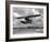 U.S. Water Ski Champion Bruce Parker Being Towed by a Seaplane across Biscayne Bay, 1946-null-Framed Photographic Print