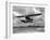 U.S. Water Ski Champion Bruce Parker Being Towed by a Seaplane across Biscayne Bay, 1946-null-Framed Photographic Print