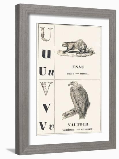 U V: Unau — Vulture, 1850 (Engraving)-Louis Simon (1810-1870) Lassalle-Framed Giclee Print