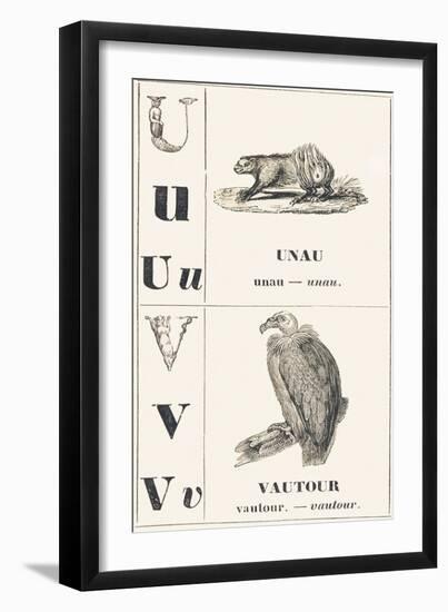 U V: Unau — Vulture, 1850 (Engraving)-Louis Simon (1810-1870) Lassalle-Framed Giclee Print