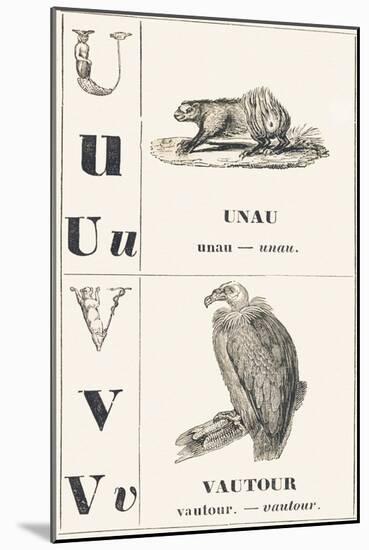 U V: Unau — Vulture, 1850 (Engraving)-Louis Simon (1810-1870) Lassalle-Mounted Giclee Print