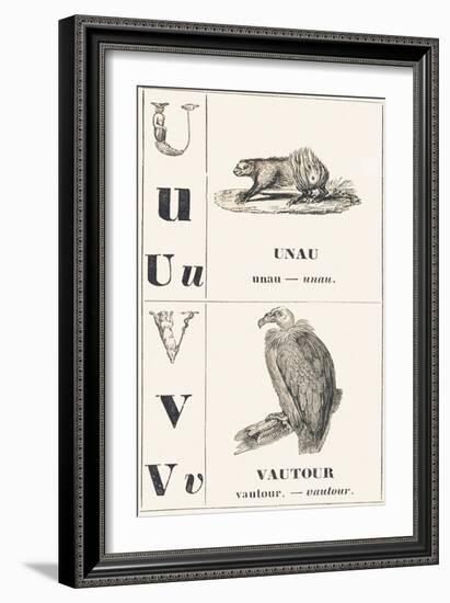 U V: Unau — Vulture, 1850 (Engraving)-Louis Simon (1810-1870) Lassalle-Framed Giclee Print